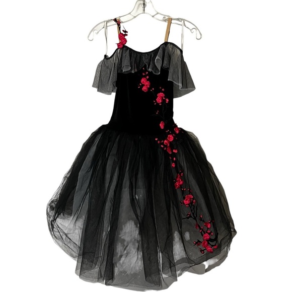 Revolution Dance BREATHTAKING
RC23880 Dress Tulle Skirt SA Small Adult - Picture 3 of 16